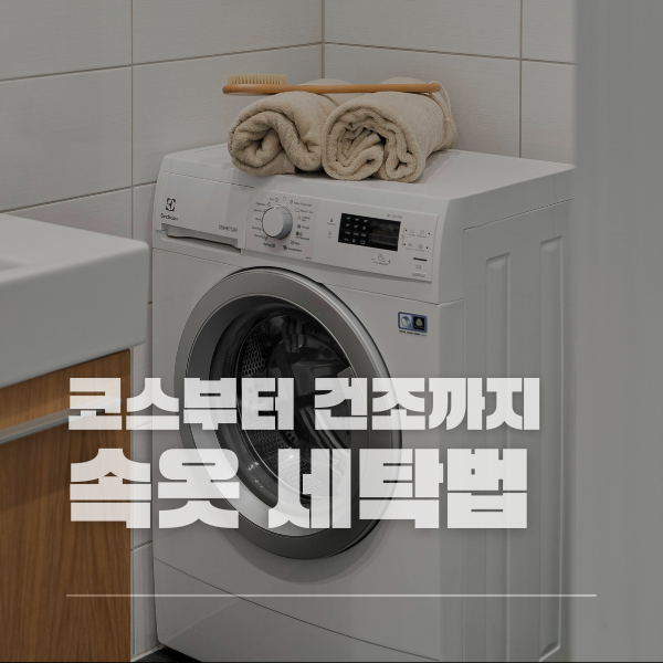 속옷 세탁법 총정리, 브래지어 세탁기 코스부터 건조 방법까지