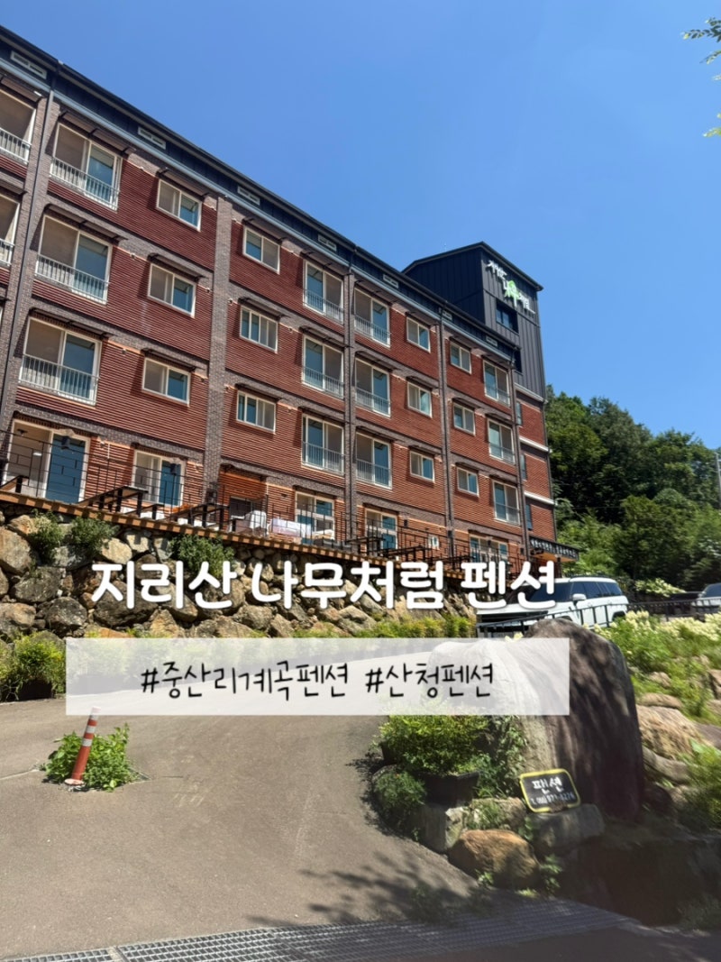 중산리 계곡 숙소 지리산 나무처럼 펜션, 애견동반 가능한 103호 후기 (ft. 중산리 편의점 CU편....