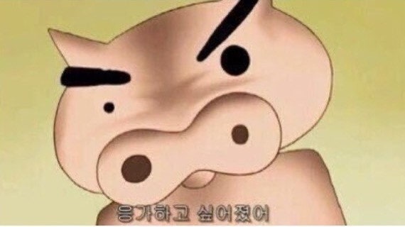 강아지 만성췌장염 노견 영양제 추천｜15살 강아지가 먹어본 프로이덴 뮤코사 케어 후기