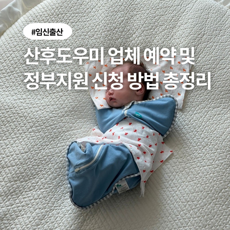 화성 산후도우미 업체 등급 조회 예약 방법, 정부지원 금액 신청 꿀팁 총정리!