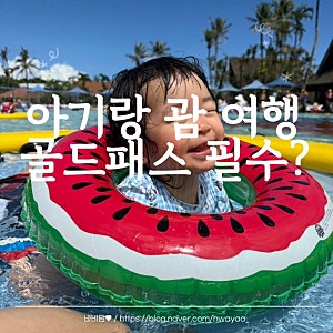 18개월 아기 괌 / PIC 골드패스 vs 브론즈패스 솔직 후기