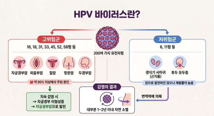 <b>HPV</b>(인유두종<b>바이러스</b>) 감염, 예방이 가능한가요?