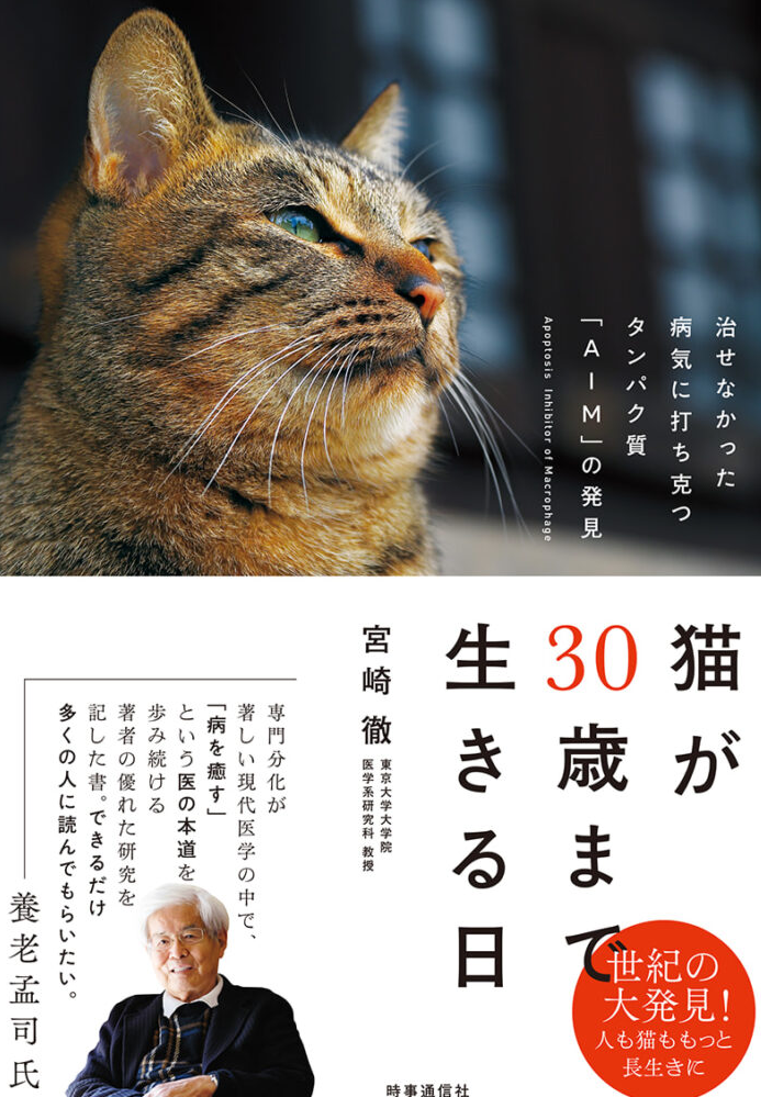 고양이 평균 수명 연장의 꿈. 무려 30년까지 늘어날 수도 있다는 소식