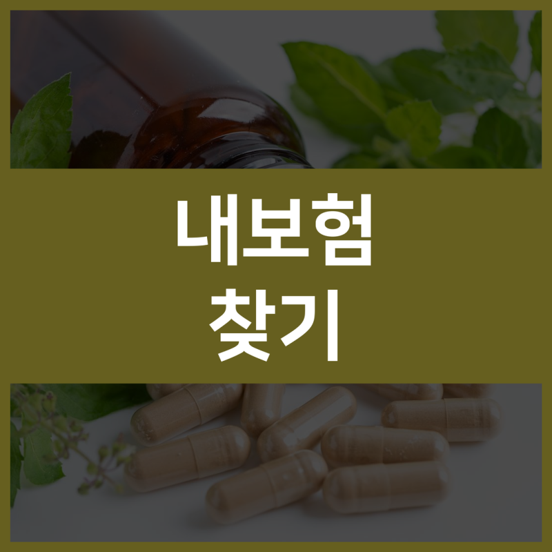 내 보험 보장 확인하고 내가 가입한 보험 조회하는 내보험찾아줌 활용법
