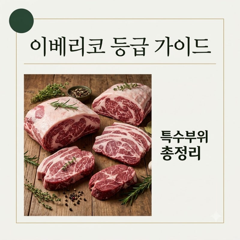 이베리코돼지고기 등급 체계부터 특수부위 총정리