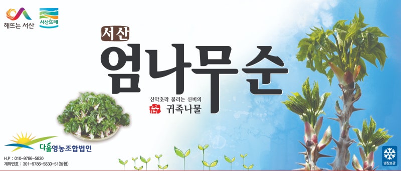 엄나무 심는 시기와 방법 — 30년 재배단지가 알려드립니다