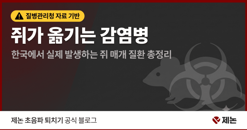 쥐가 옮기는 감염병, 생각보다 훨씬 심각합니다— 한국에서 실제로 발생하는 쥐 매개 질환 ....