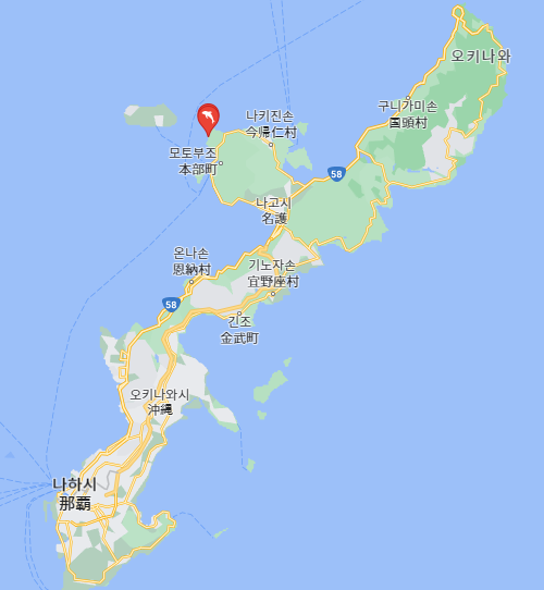 오키나와 여행 필수 코스 츄라우미 수족관 가는법 완벽 가이드 (렌터카 맵코드 버스 할인 꿀....