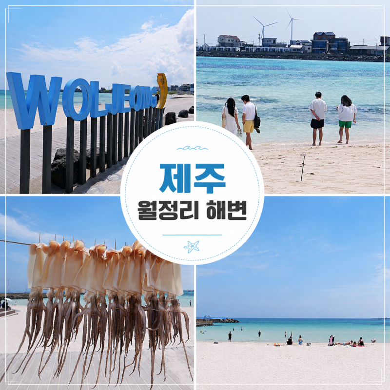 제주 월정리 해수욕장 제주도 바다 월정리해변 서핑