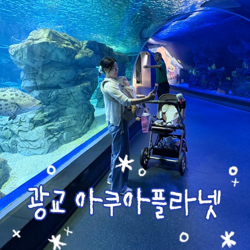 5개월 아기랑 광교 아쿠아플라넷 다녀온 후기