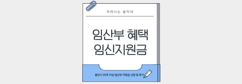 [임신정보] 용인시 임산부 혜택 :) 20주 이상 임산부 와이페이 30만원 지원받은 후기