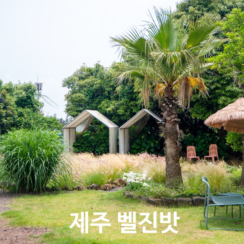 제주 벨진밧 박한별 카페, 정원이 예쁜 서귀포 카페