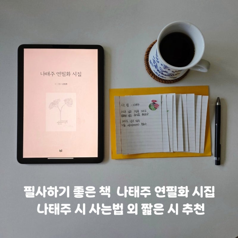 필사하기 좋은 책 |나태주 연필화 시집 사는 법 외 짧은 시 추천
