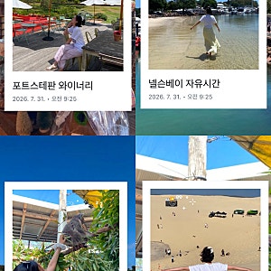 시드니 신혼여행 포트스테판 일일투어 후기   지그재그투어 코스 오크베일 동물원 넬슨베이 ....