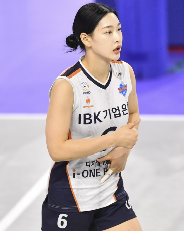 [여자배구] 입문자 필독, 프로리그 구성과 실업팀 구성의 이유, 기본 규칙까지