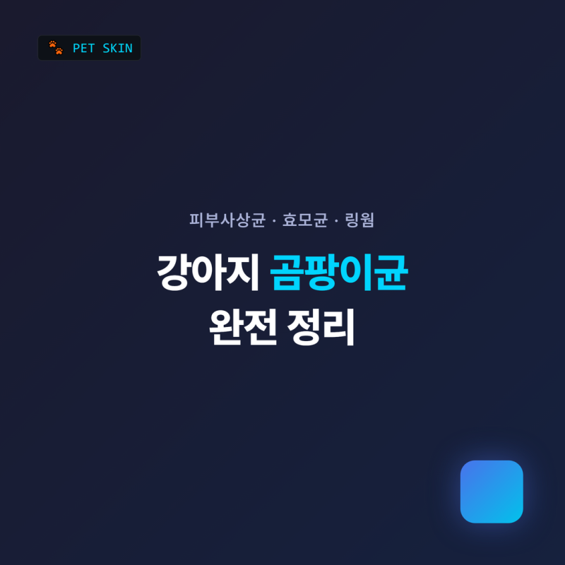강아지 곰팡이균 총정리: 피부사상균·효모균·링웜 차이