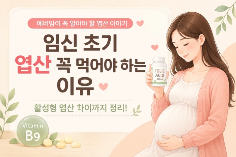 임신 초기 엽산 꼭 먹어야 하는 이유 활성형 엽산 차이까지 정리