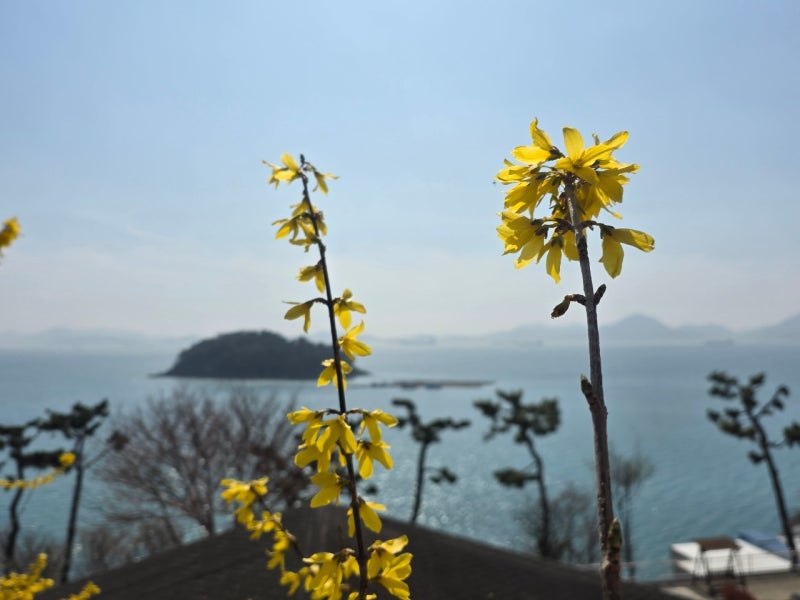 내 여인 (진성)