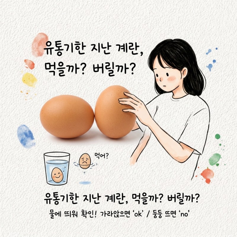 유통기한 지난 계란 먹어도 되는지 확인하는 법과 버리는 기준