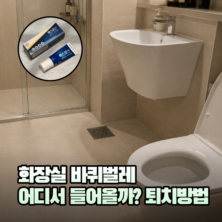 화장실 문 열기 두려웠던 이유, 바퀴벌레 유입 원인과 퇴치법