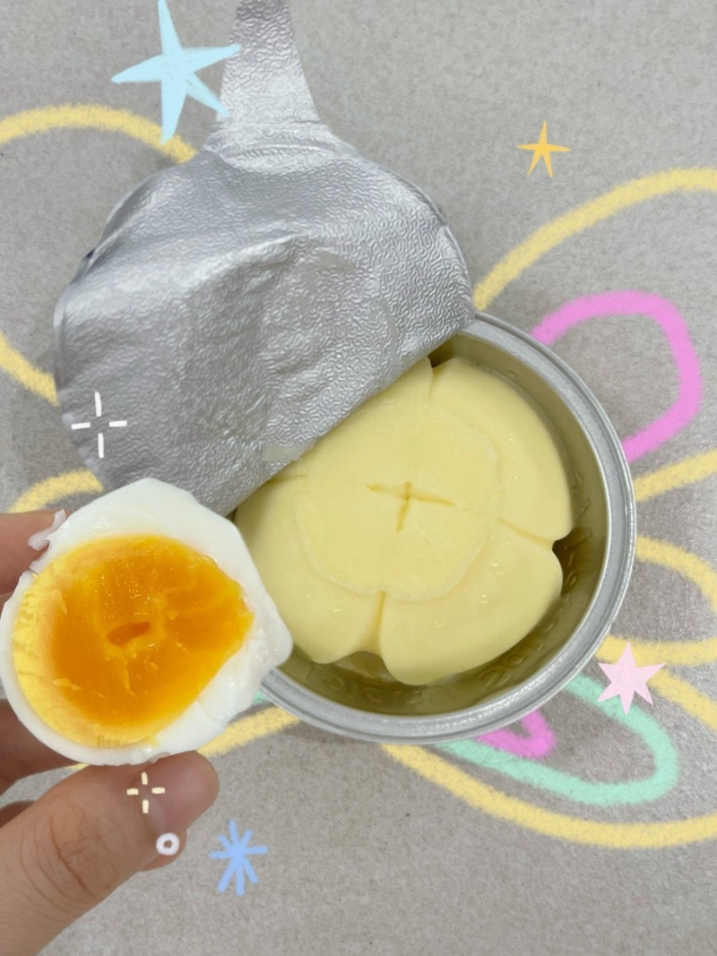 에그패스팅 3일 단기 다이어트 도전 1일차! 식단 일기