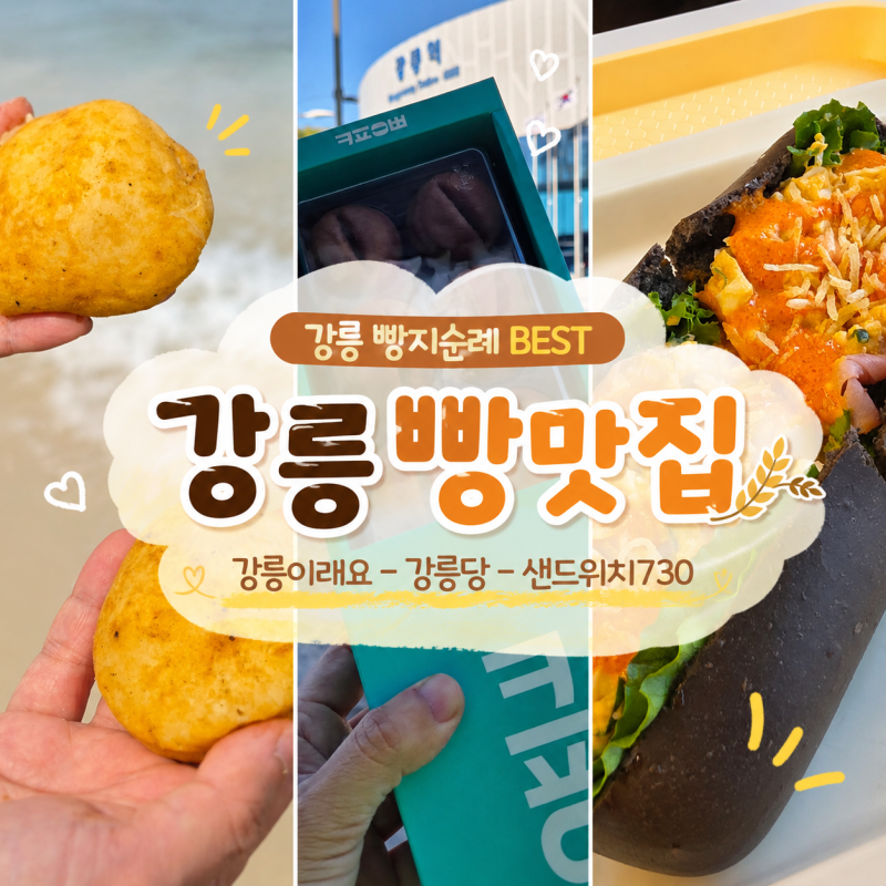 강릉 빵집, 강릉 빵지순례 강릉 기념품 추천 best