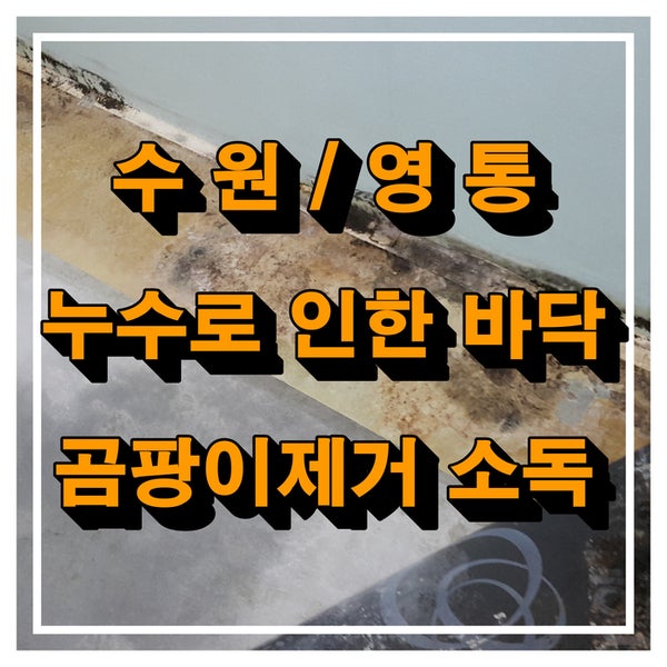 수원 영통 누수로 인한 바닥 곰팡이가 생겼어요! 바닥 곰팡이제거 및 소독 현장 후기
