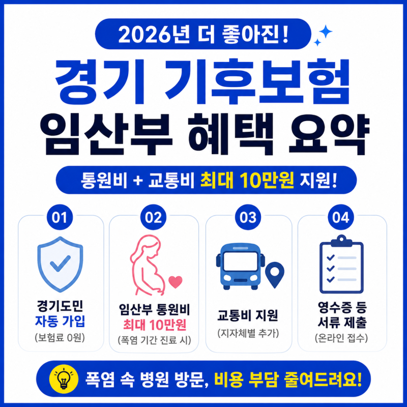 경기 기후보험 임산부 통원비 지원 신청 방법 (교통비 10만원, 수원시 등 혜택 총정리)