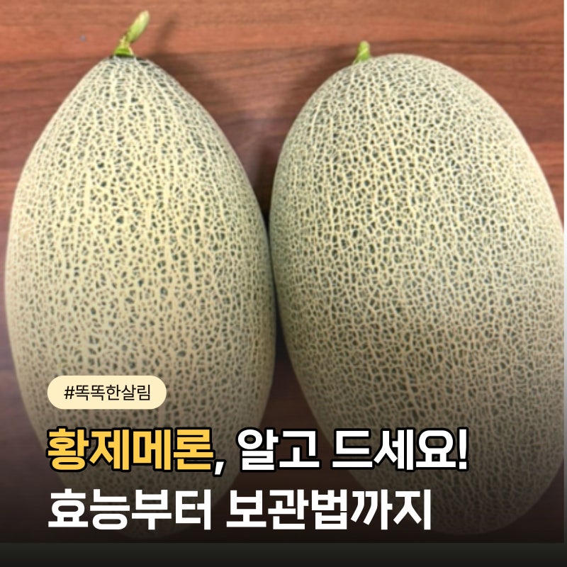 황제메론 효능부터 보관법까지, 맛있게 즐기는 방법