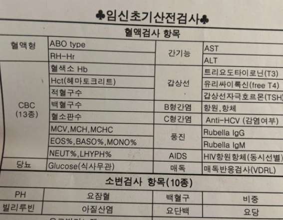 보건소 산전검사 후기, 임신초기 검사 항목과 준비물 총정리