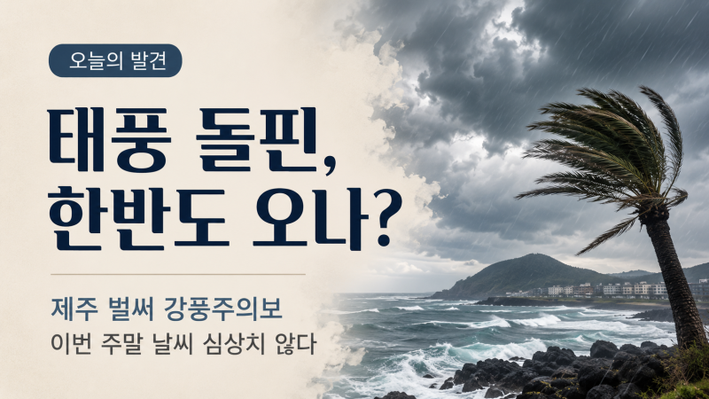 태풍 돌핀, 한반도 오나? 제주 벌써 강풍주의보…이번 주말 날씨 심상치 않다!!!