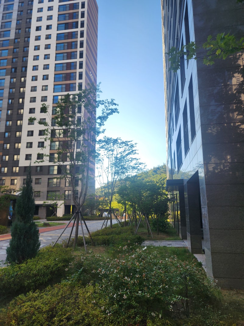 기업형 장기임대주택 뜻과 장단점, 20년 장기거주 주택시장 대안 될까?