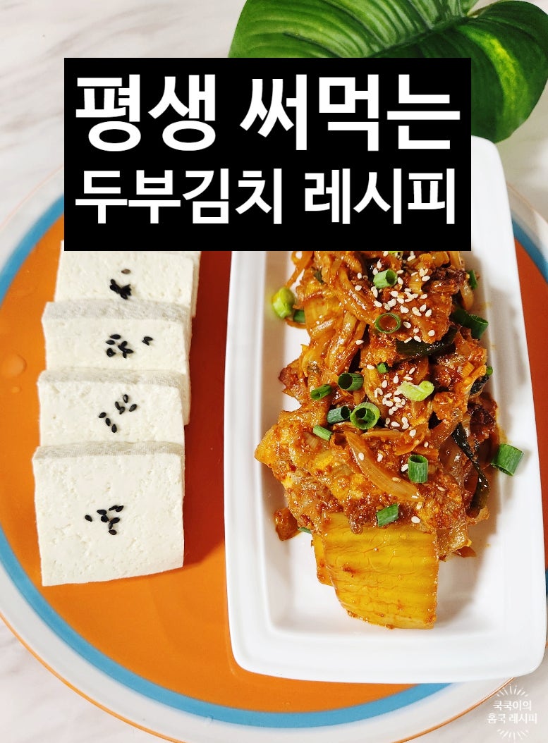 두부김치 레시피 실패 없는 돼지고기 두부김치 만드는법