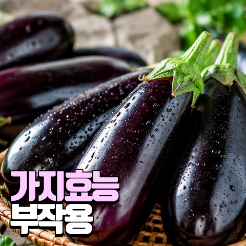 보라색 채소 가지 효능과 칼로리, 주의할 부작용