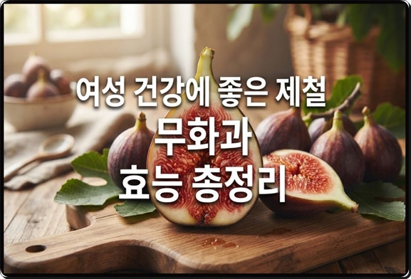 무화과 칼로리 효능 부작용 섭취법! 여성 건강 정보 총정리