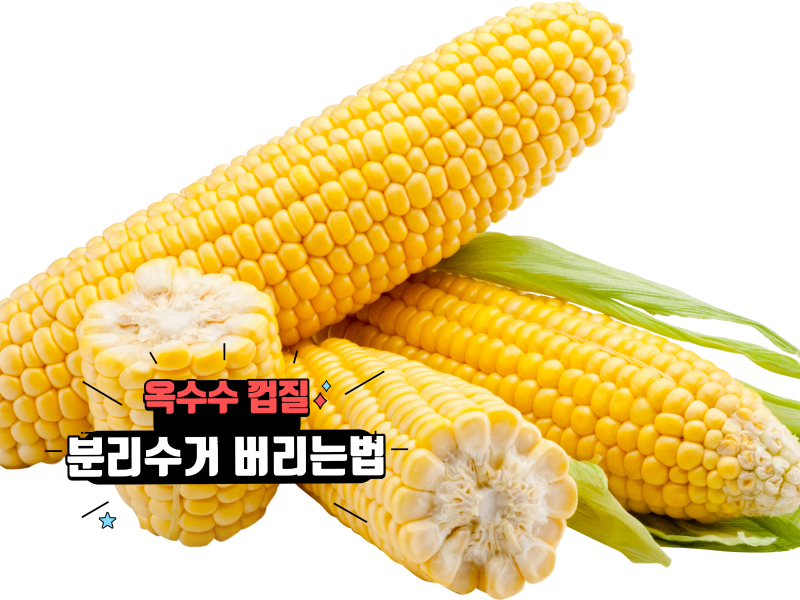 옥수수 껍질 버리는법 완벽 정리! 옥수수 껍질 분리수거 쉽게 하는 꿀팁