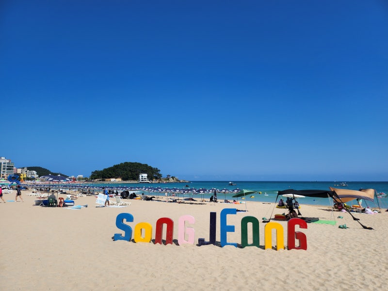 부산 송정해수욕장 가족여행｜물놀이부터 서핑·땅콩보트·주차까지 직접 다녀온 후기