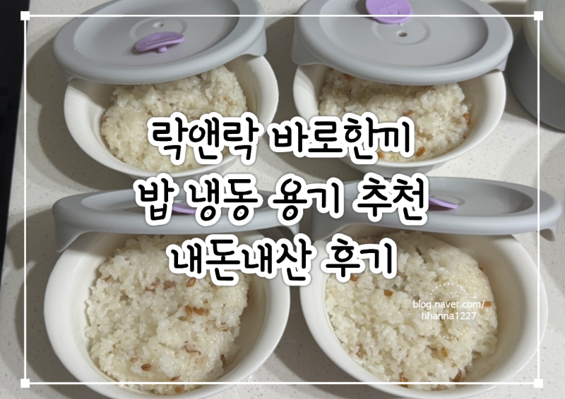 락앤락 바로한끼 밥 냉동용기 추천 / 밥 한 공기 용량 / 냉동 밥 해동 시간