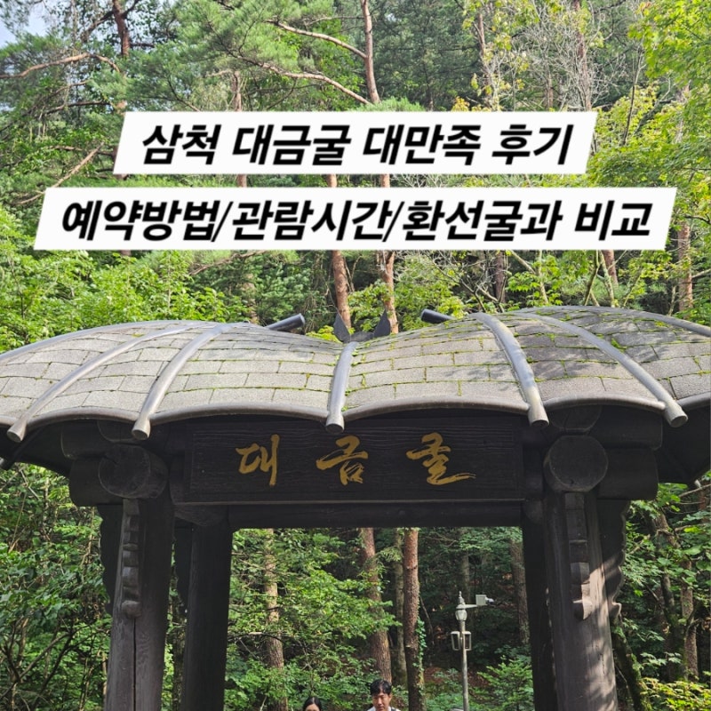[삼척/대금굴] 대금굴 관람 후기/환선굴과 비교/추천관람시간과 복장