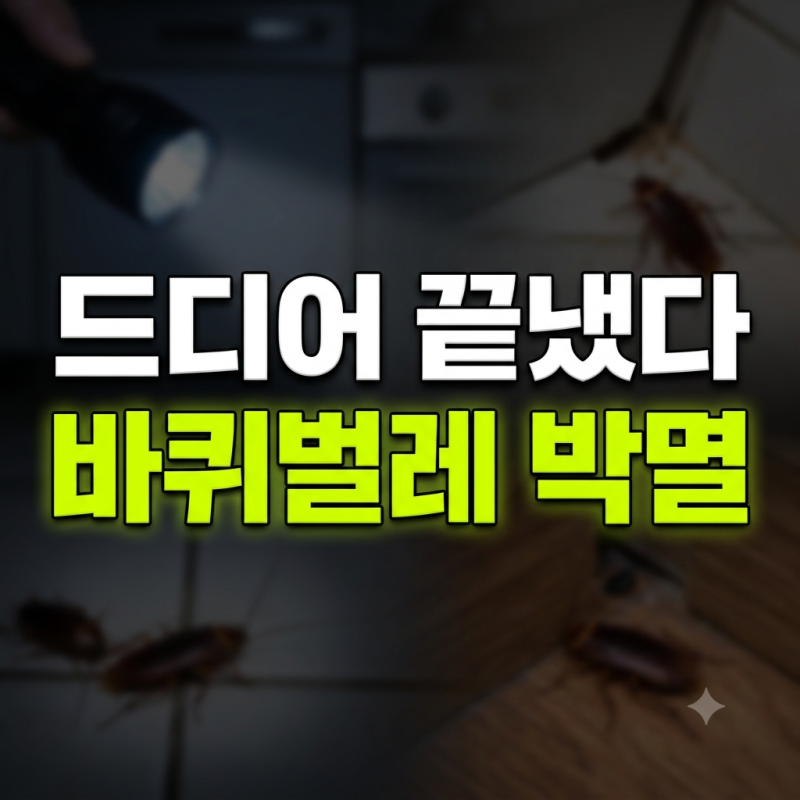 바퀴벌레 완전히 없애는법 및 잡는방법 유입차단 등 종합정보공개!!(서식지 연쇄 박멸 까지)