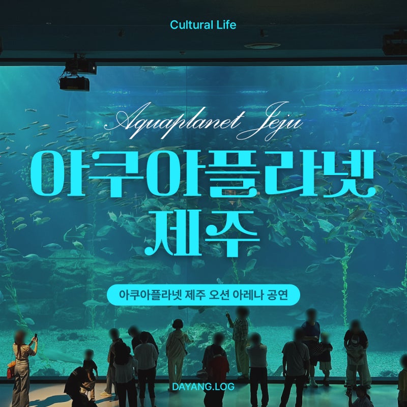 아시아 최대 규모 아쿠아리움 '아쿠아플라넷 제주' 오션 아레나 공연 정보 및 관람 후기