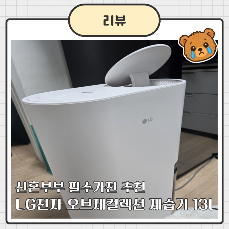 신혼부부 필수가전 추천, 아파트 24평에 딱맞는 LG전자 오브제컬렉션 제습기 휘센 DQ134MWEC 13L ....