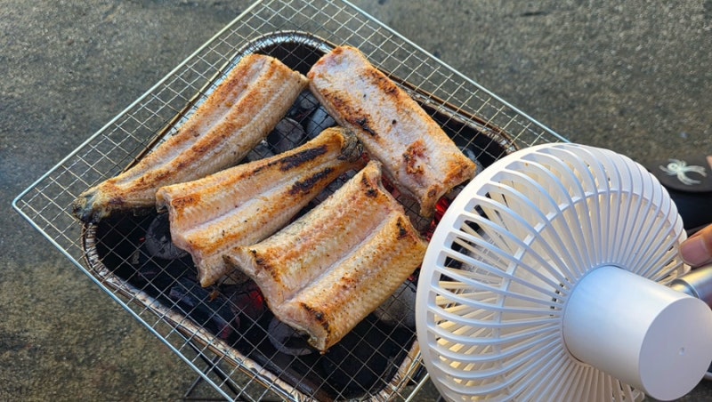 캠핑카·캠퍼 필수템! 다이소 2천원 제품으로 무거운 화로대 없이 바베큐 해먹는 법 [내돈내....