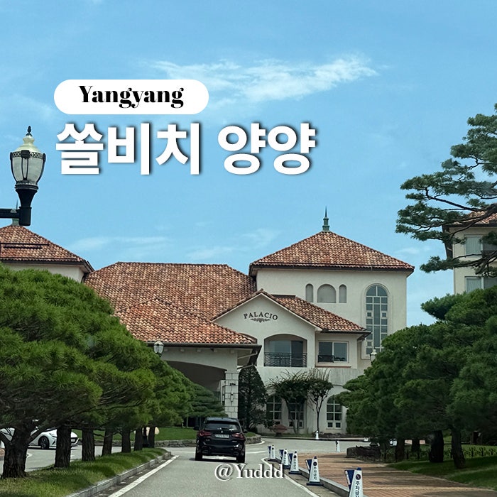 강원ㅣ여름 휴가 숙소 쏠비치 양양 스위트 스탠다드 침대 취사 가능 1박 2일 숙소 추천 챙겨....