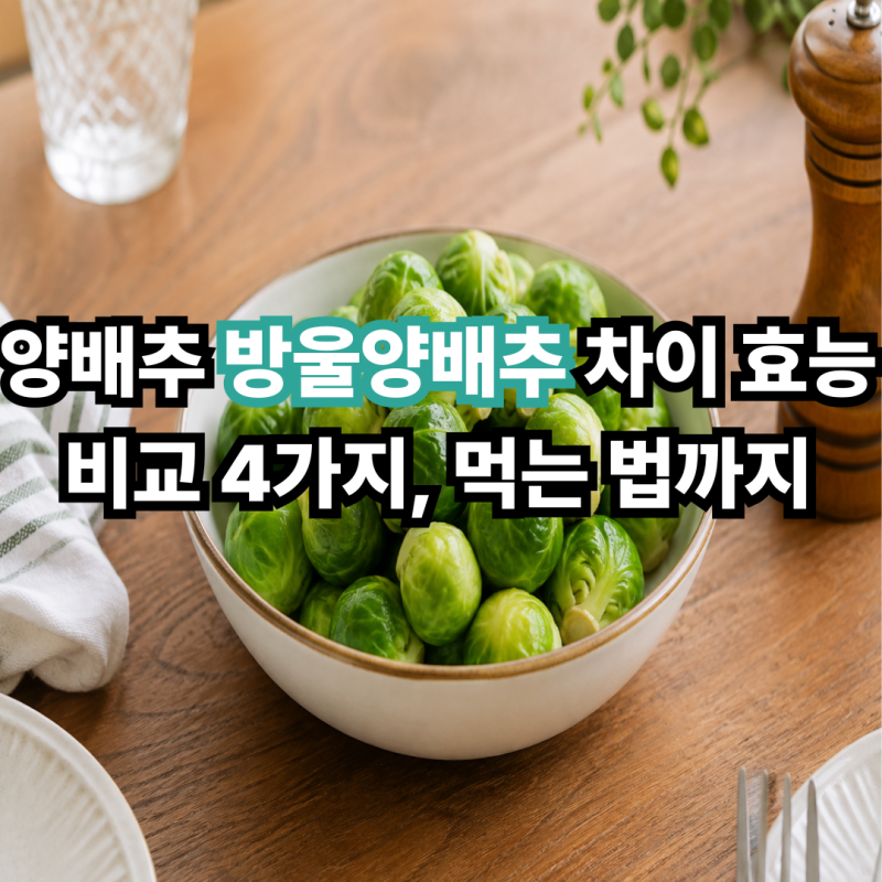 양배추 방울양배추 차이 효능 비교 4가지, 먹는 법까지