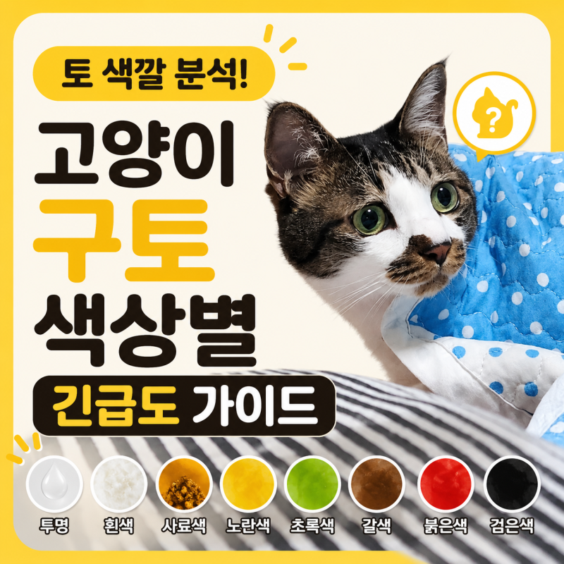 고양이 구토 색상으로 보는 긴급 병원행 신호