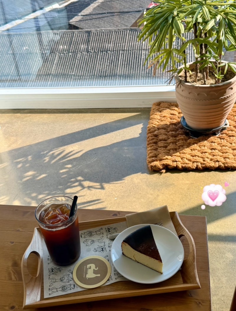 [창원 북면] 시심마 | 창원 대형 카페 애견동반 가능한 원두 맛집 찾았어요 !