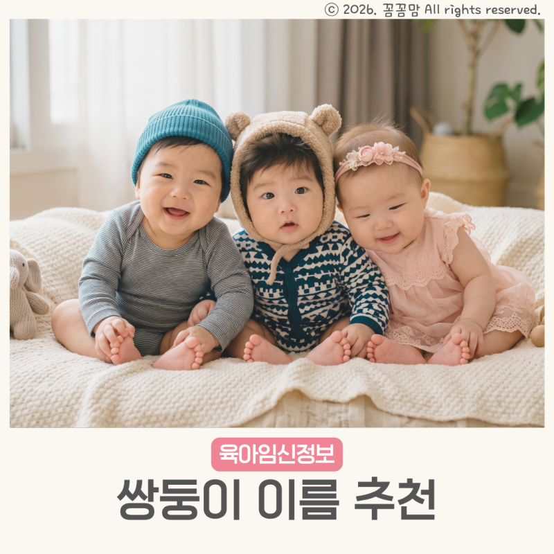 쌍둥이 이름 추천 짓기 남자 여자