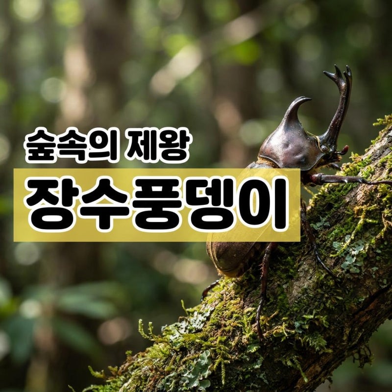 이름은 장수인데? 장수풍뎅이 키우기 전 꼭 알아야 할 충격적인 수명과 사육 현실