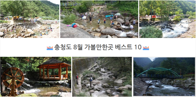 忠清道8月のおすすめスポット 夏休み旅行コースベスト10 暑さをしのぐ避暑地 海辺 樹木園